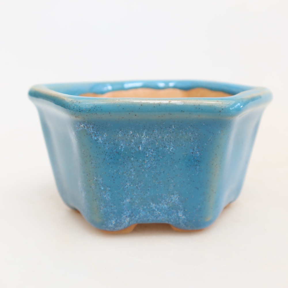 Bol à bonsaï en céramique 7,5 x 7 x 4 cm, couleur bleu