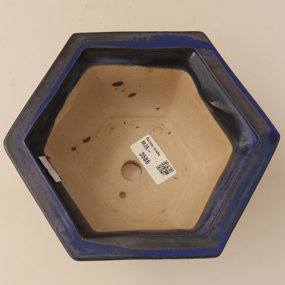 Bol à bonsaï en céramique 18,5 x 16,5 x 9 cm, couleur bleu