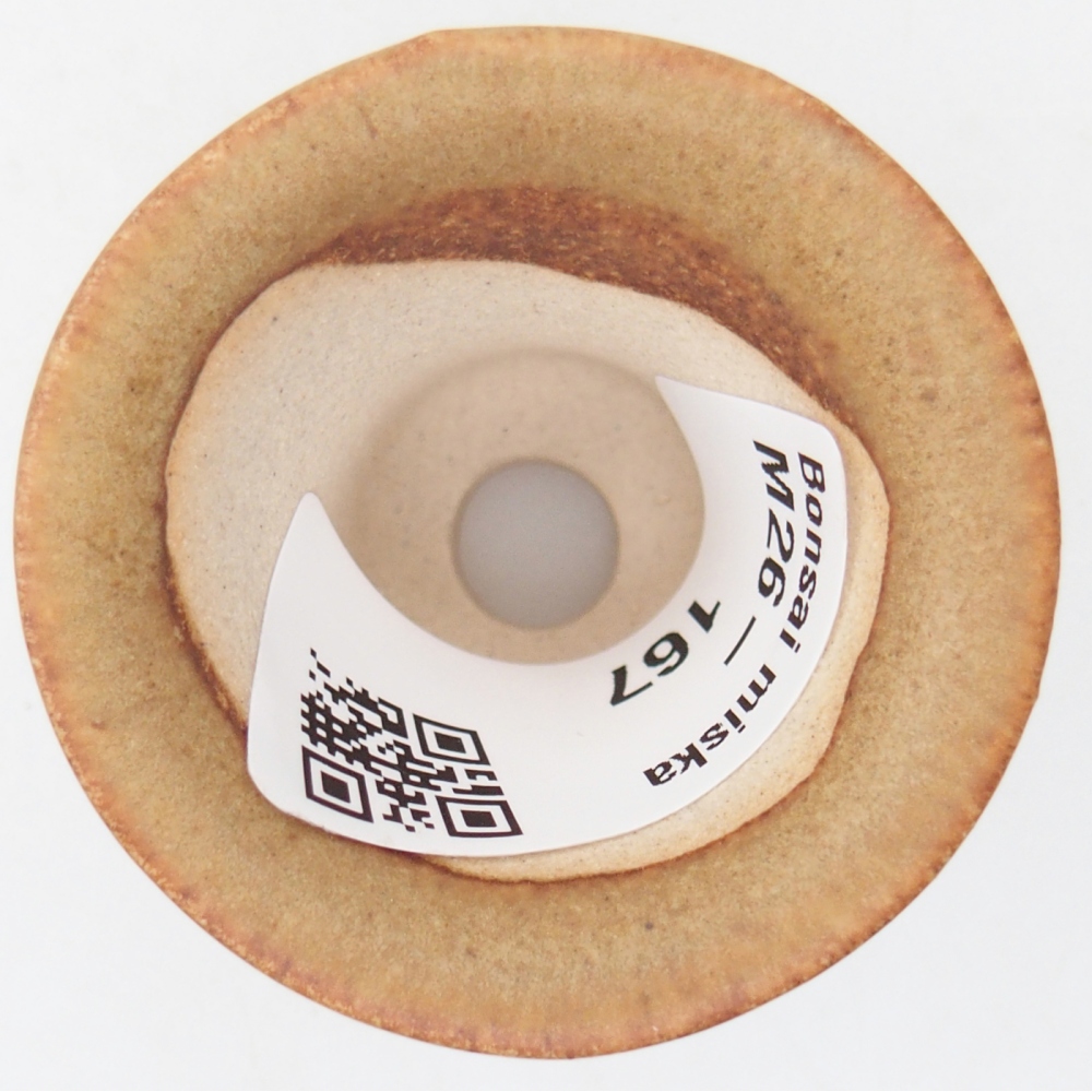 Mini bol bonsaï 4,5 x 4,5 x 4 cm, brun