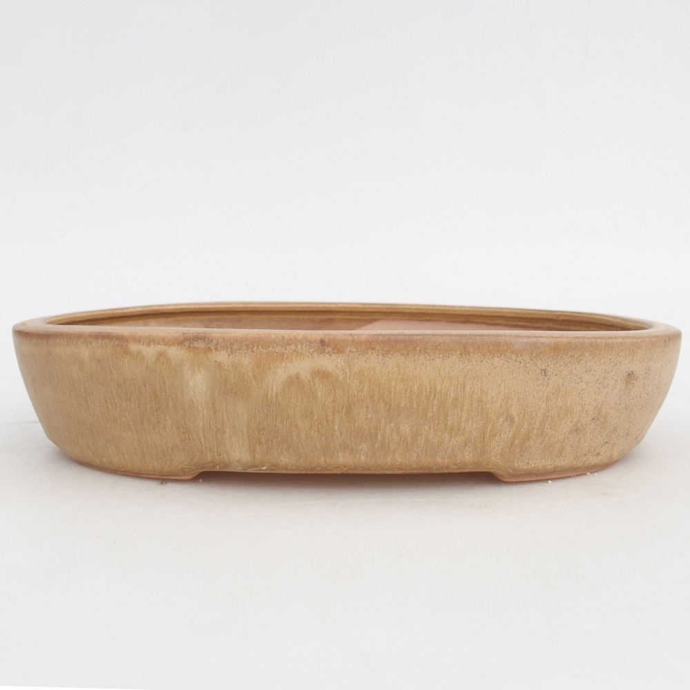 Bol à bonsaï en céramique 22,5 x 17 x 4,5 cm, couleur beige