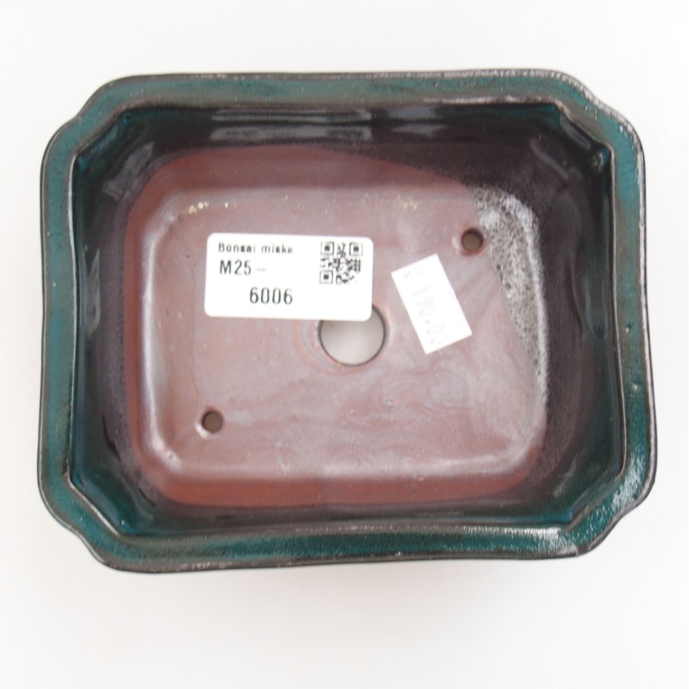 Bol à bonsaï en céramique 22 x 17 x 5 cm, vert