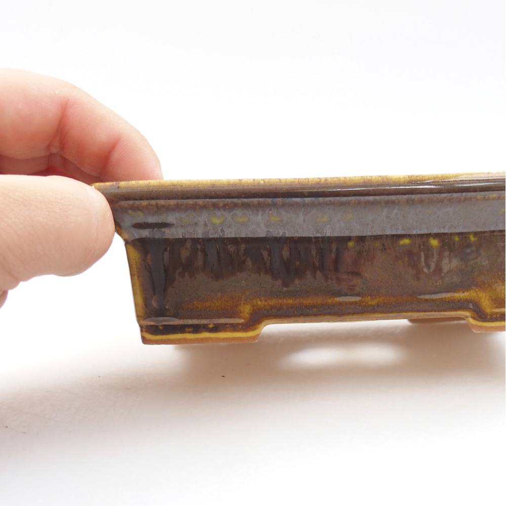 Bol à bonsaï en céramique 22 x 17 x 5 cm, vert