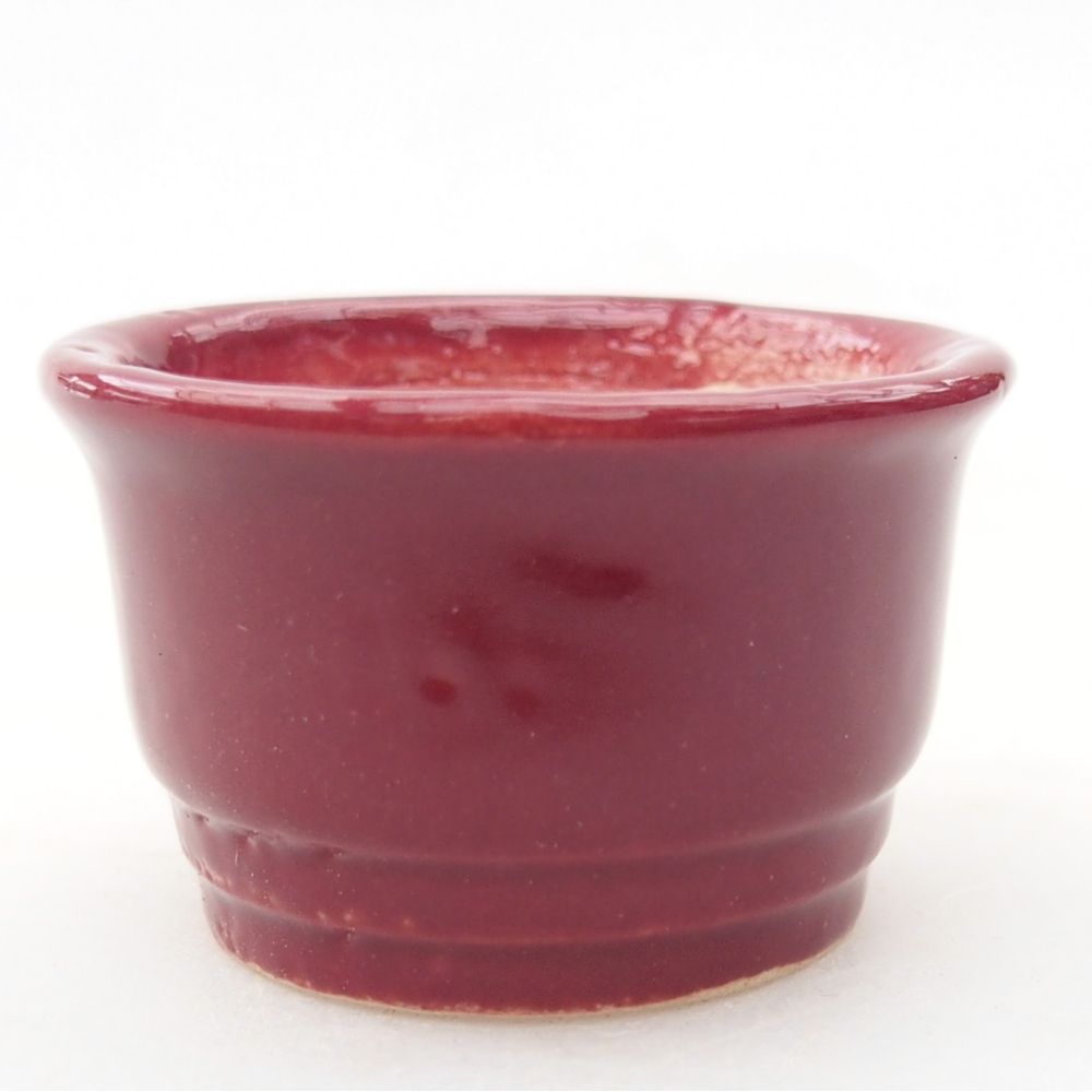 Mini bol bonsaï 4 x 4 x 2 cm, bordeaux