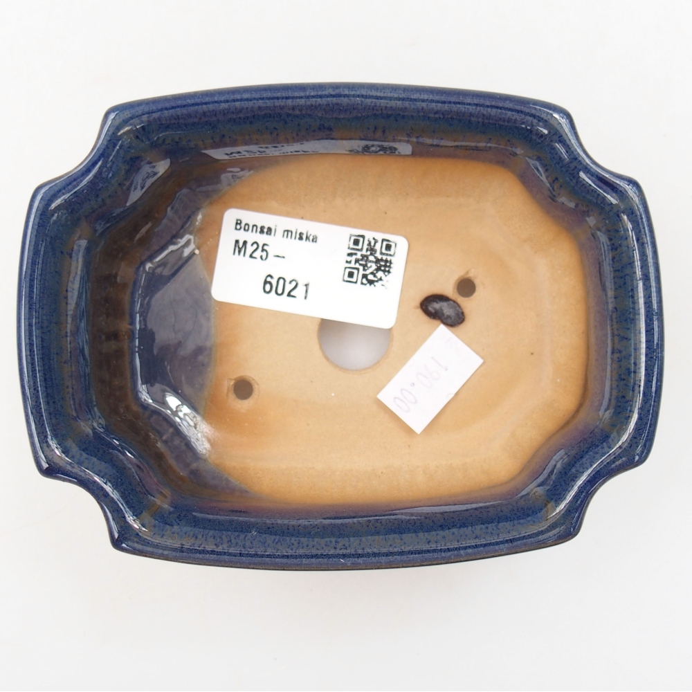 Bol à bonsaï en céramique 22 x 17 x 5 cm, vert