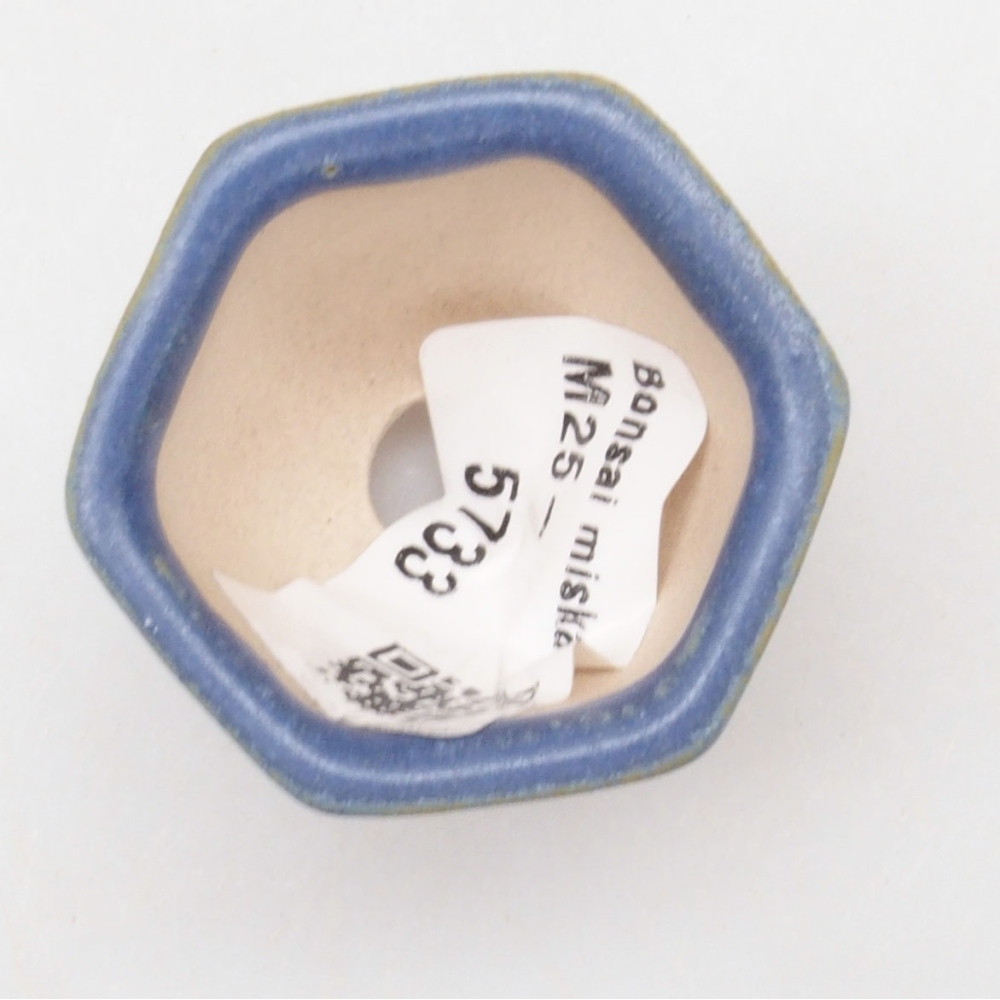 Mini bol bonsaï 4 x 3,5 x 3 cm, couleur bleu