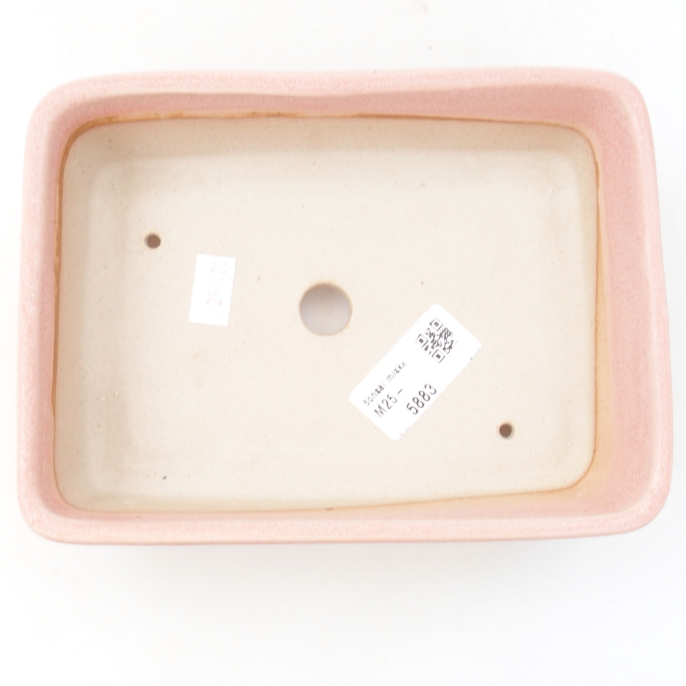 Bol à bonsaï en céramique 22 x 17 x 5 cm, vert