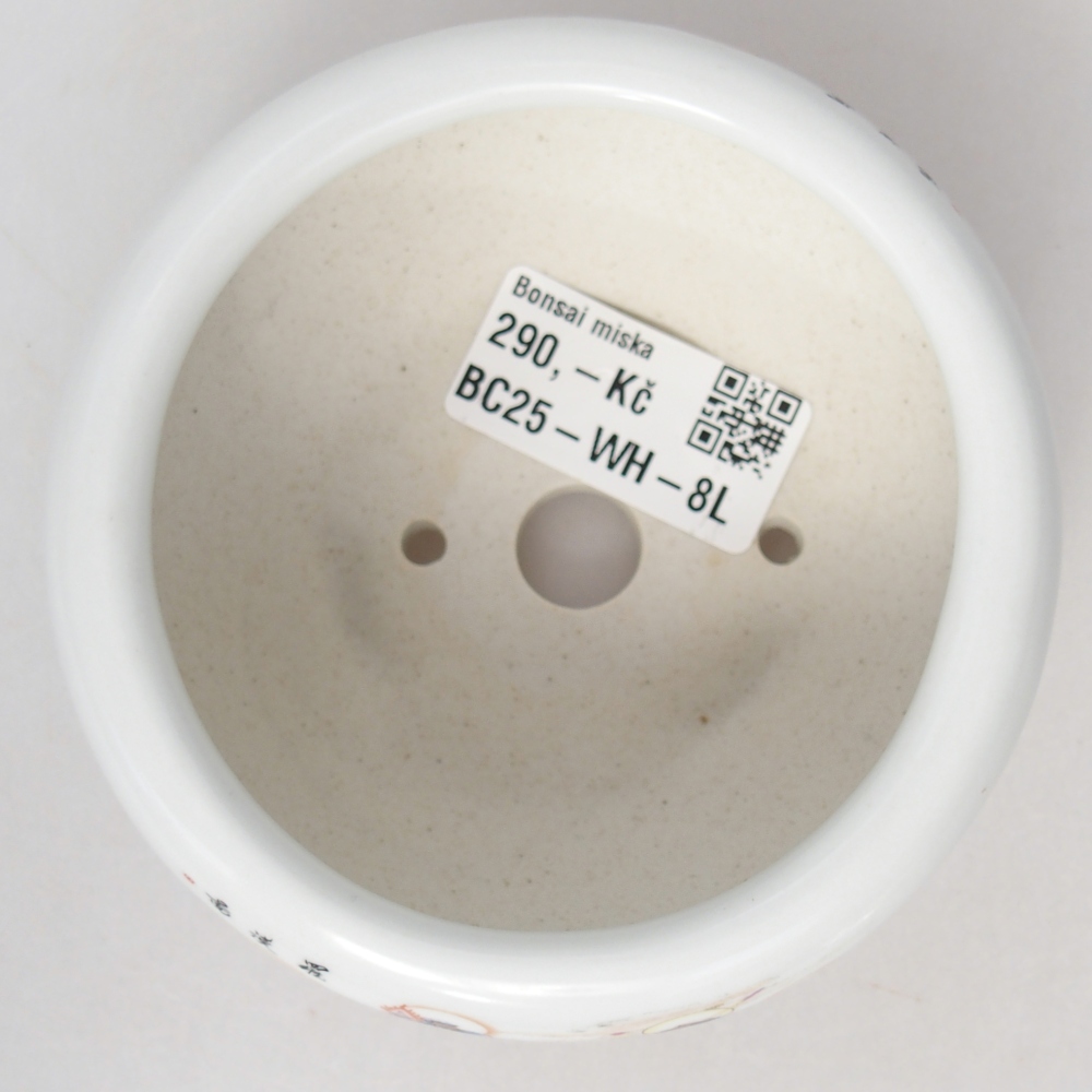 Bol à bonsaï en céramique 10 x 10 x 5 cm, couleur blanc