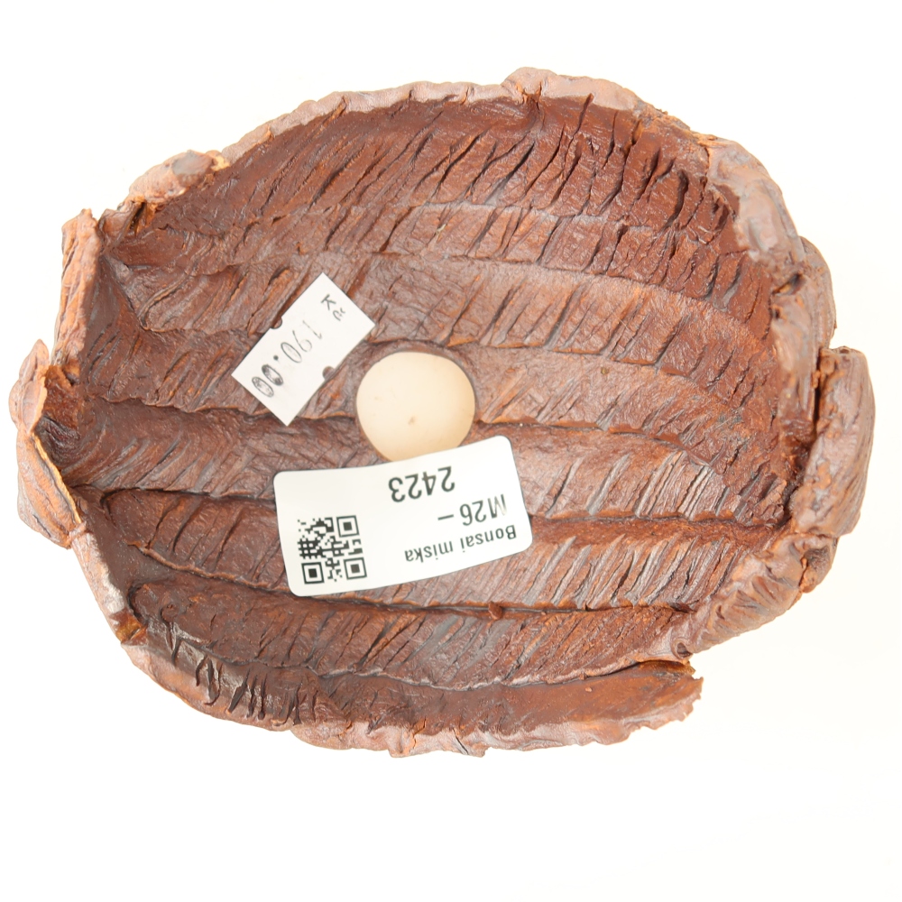 Coquille en céramique  10,5 x 9,5 x 8,5 cm, couleur marron