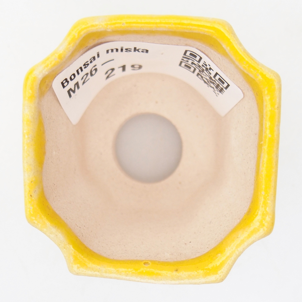 Mini bol bonsaï 4,5 x 4,5 x 4 cm, jaune