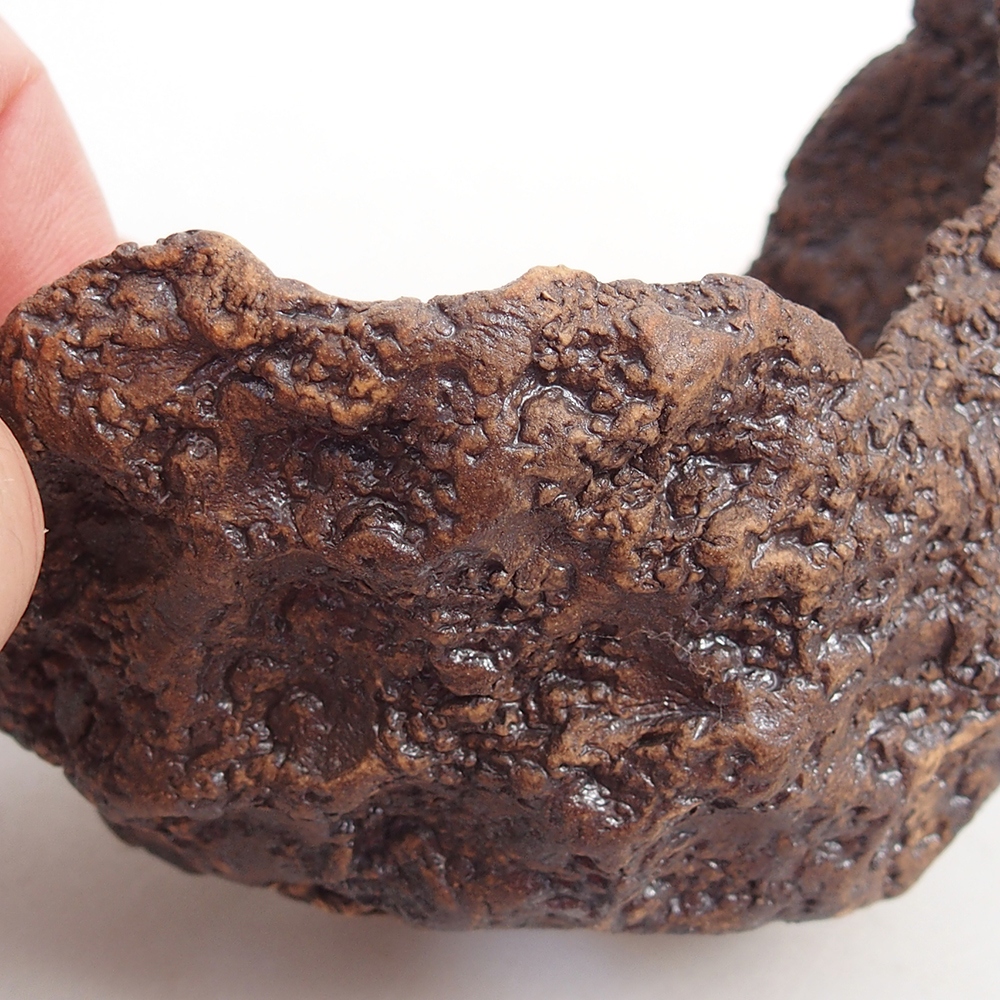 Coquille en céramique 10 x 8 x 9,5 cm , couleur marron