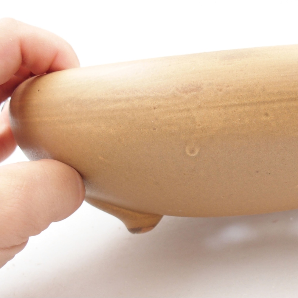 Bol à bonsaï en céramique 21 x 21 x 7,5 cm, couleur beige