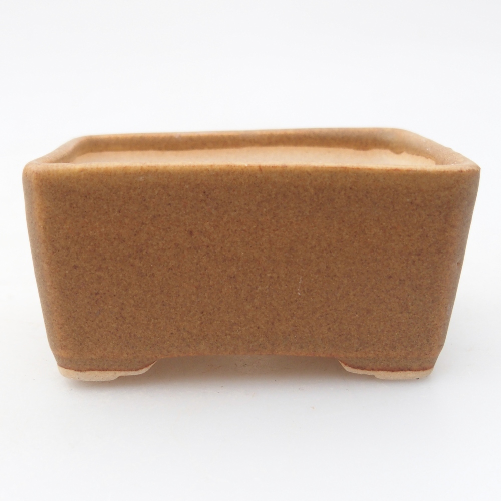 Mini bol bonsaï 7 x 5 x 3,5 cm, brun