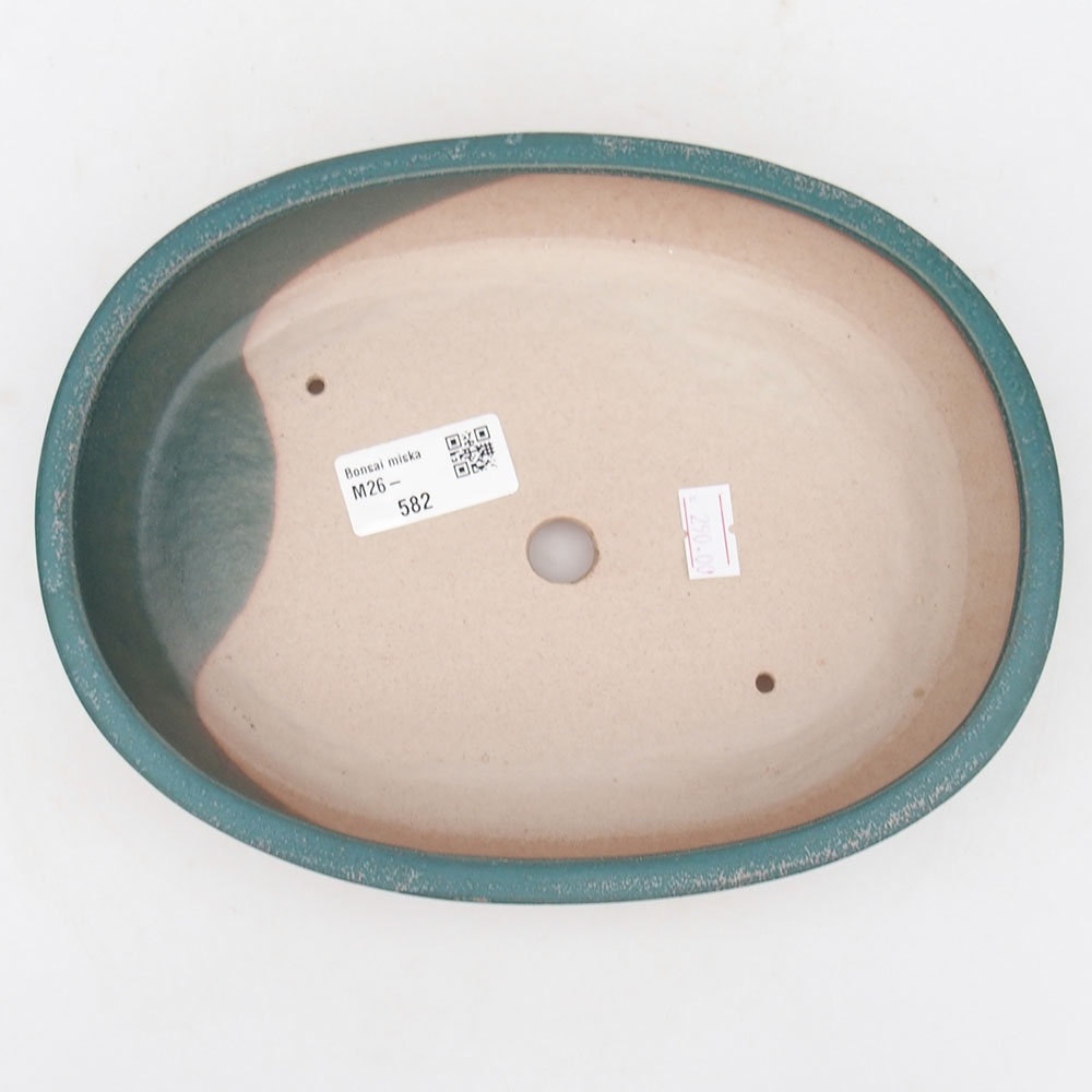Bol à bonsaï en céramique 22 x 17 x 4 cm, couleur bleu