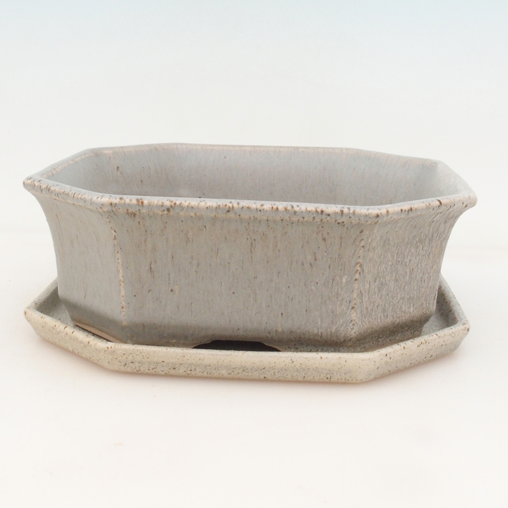 Bol Bonsaï + soucoupe H14 - beige