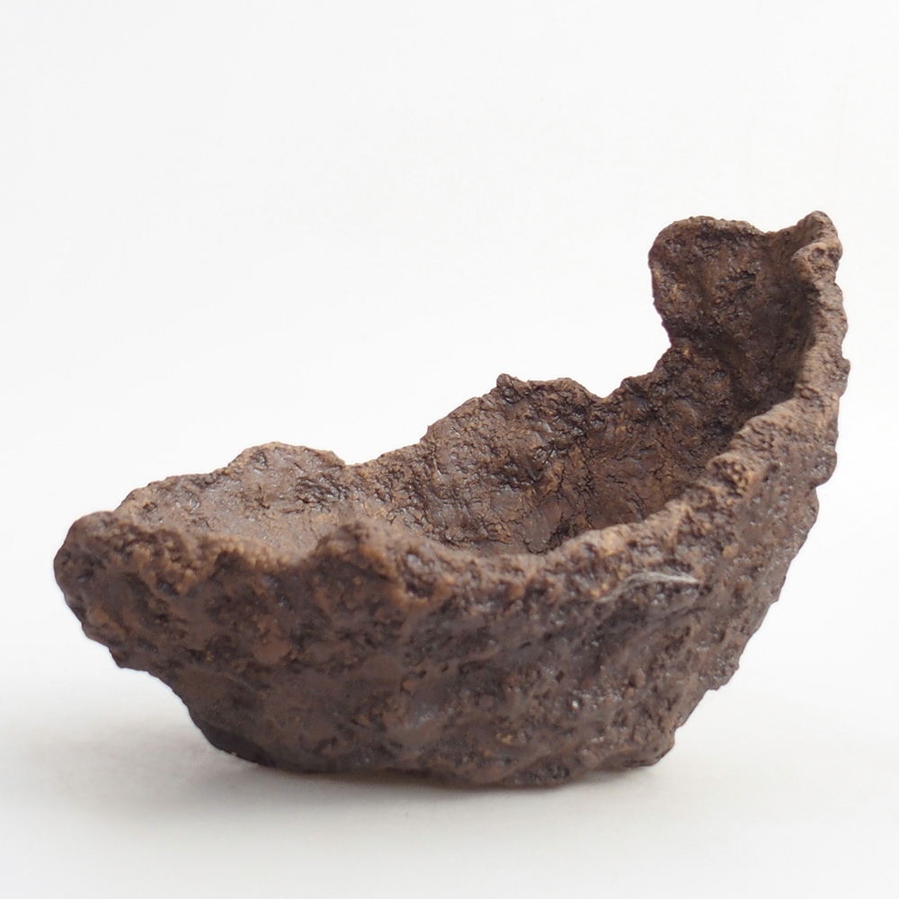 Coquille en céramique 19 x 16 x 16 cm , couleur marron