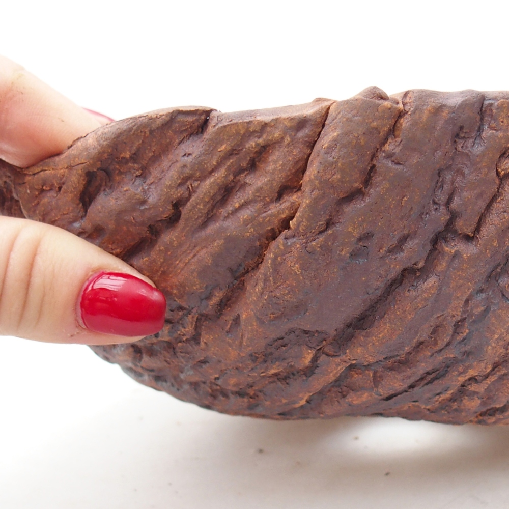 Coquille en céramique 18,5 x 18,5 x 8 cm , couleur marron