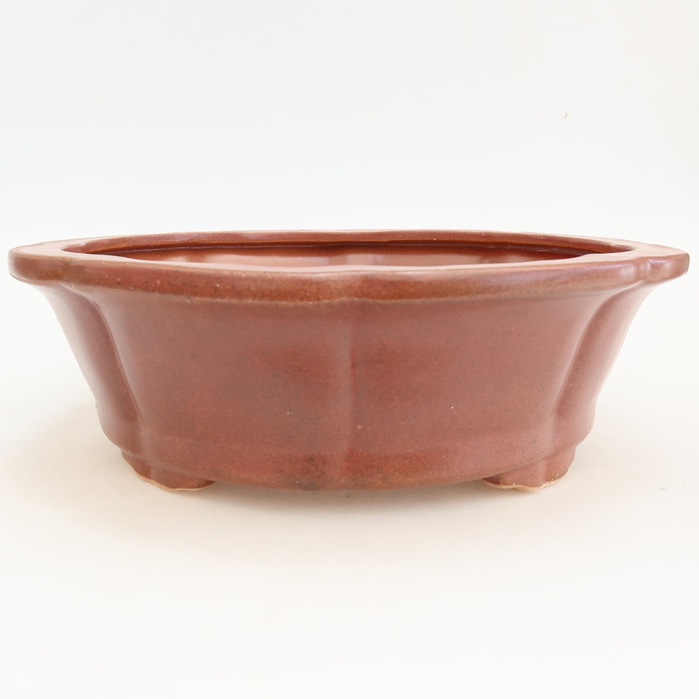 Bol à bonsaï en céramique 26 x 26 x 8 cm, bordeaux