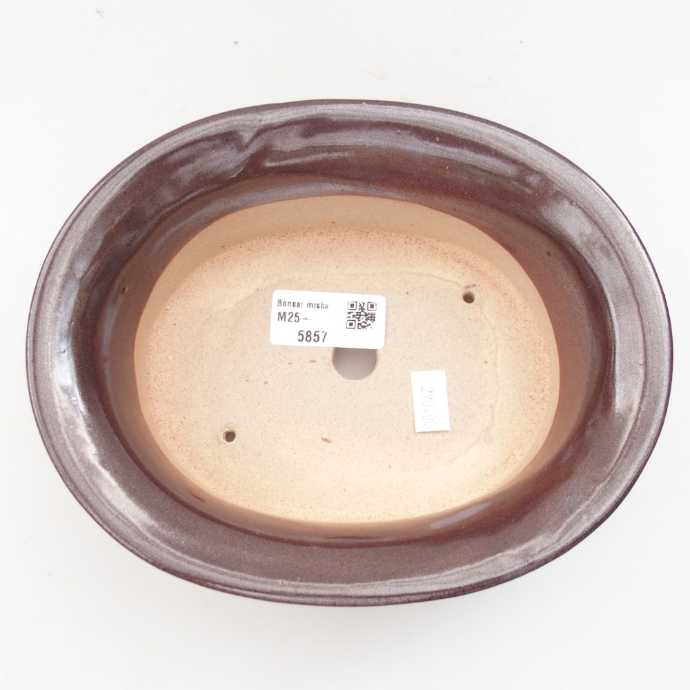 Bol à bonsaï en céramique 22 x 17 x 5 cm, vert