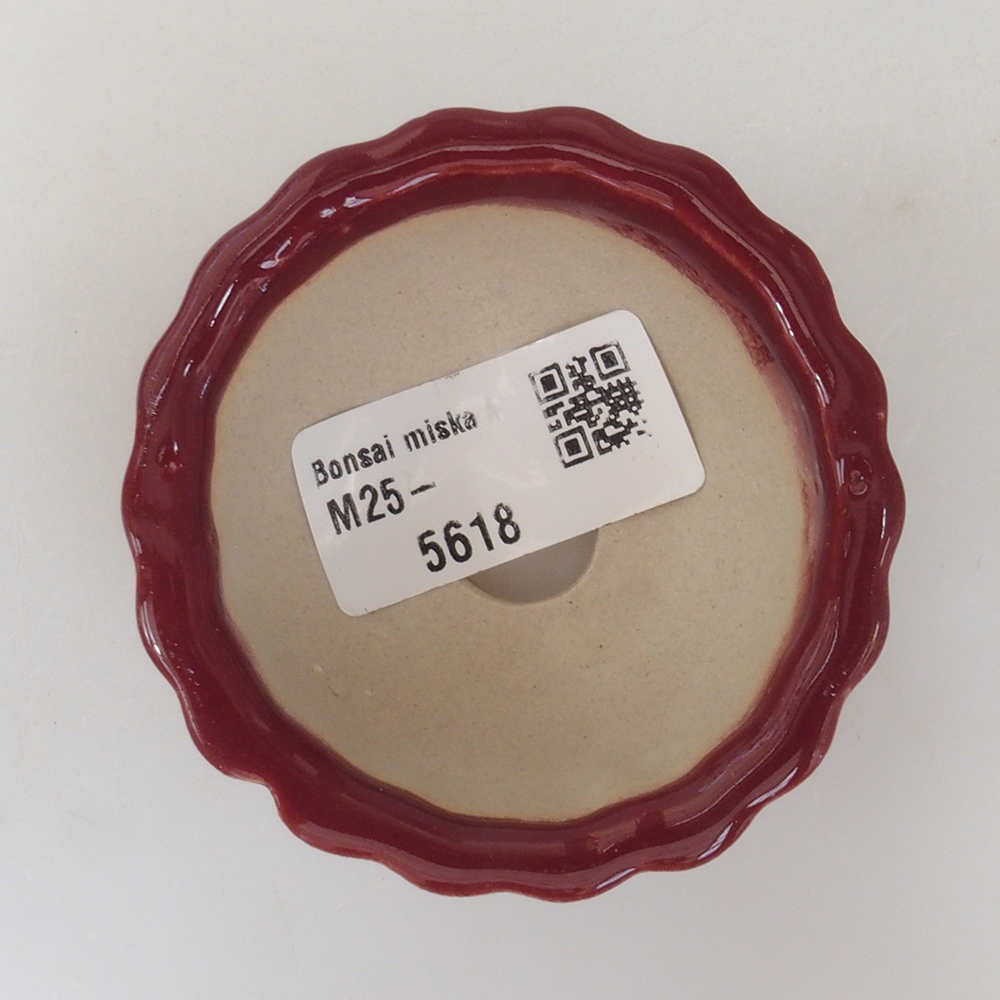 Mini bol bonsaï 6,5 x 6,5 x 3,5 cm, bordeaux