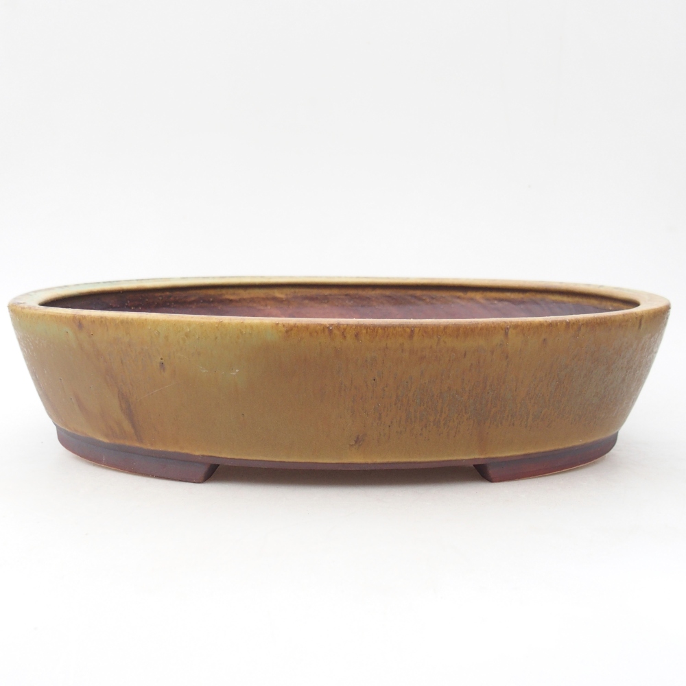 Bol à bonsaï en céramique 28 x 24,5 x 6 cm, vert