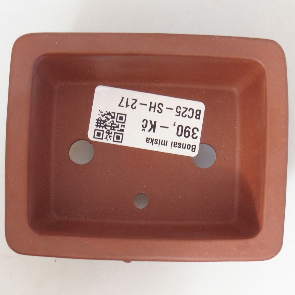 Bol 9 x 7 x 3,5 cm couleur brique