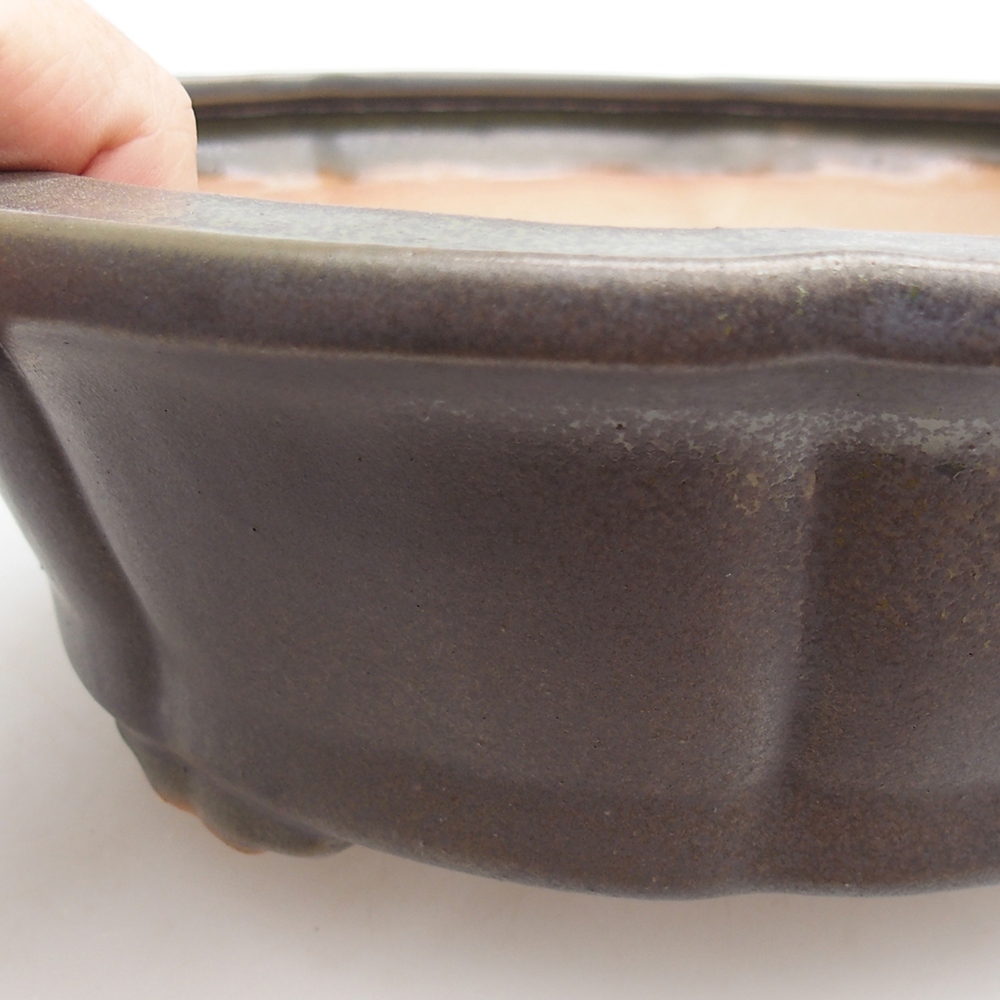 Bol à bonsaï en céramique 26 x 26 x 8 cm, vert