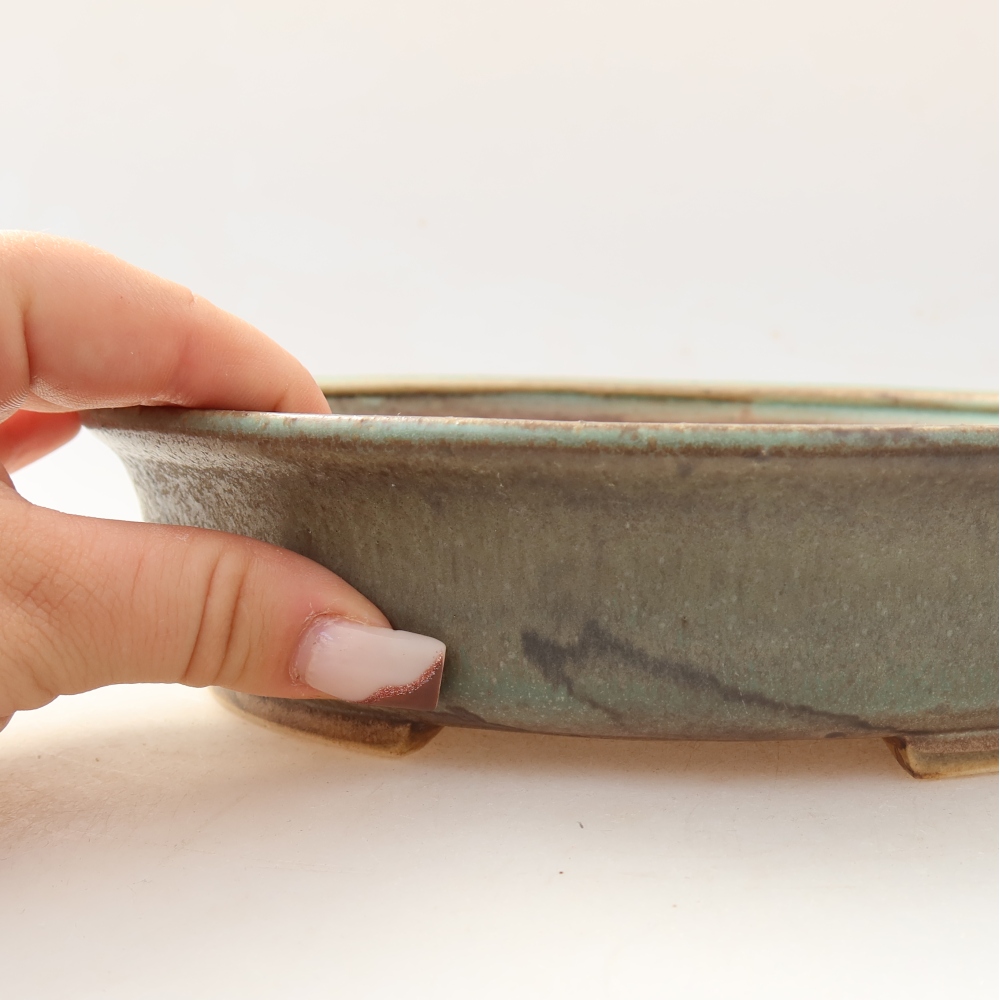 Bol à bonsaï en céramique 21 x 19 x 5 cm, vert