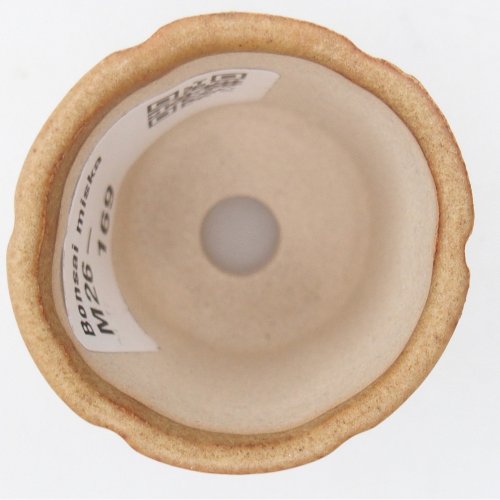 Mini bol bonsaï 4 x 4 x 4,5 cm, brun