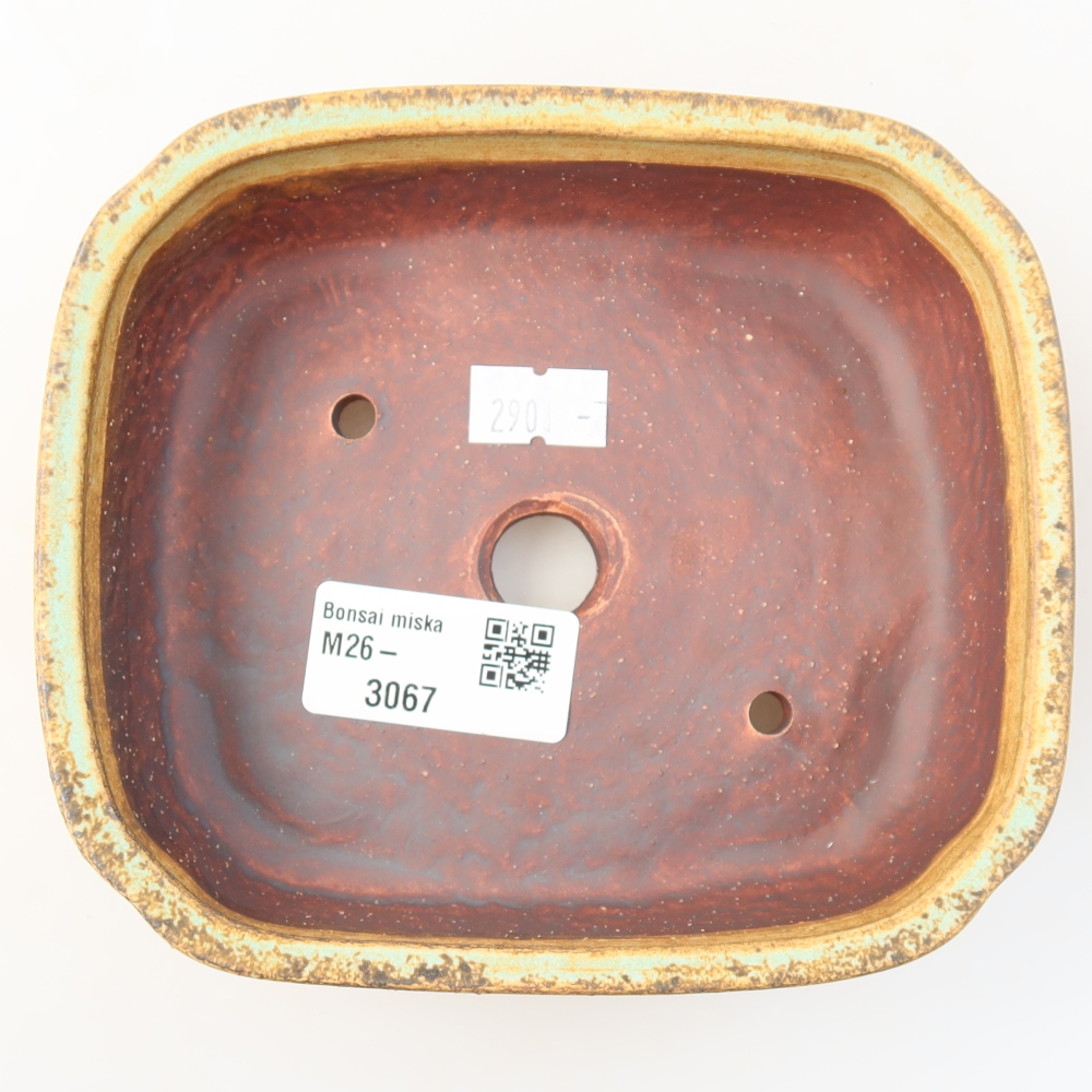 Pot à bonsaï en céramique 13,5 x 12 x 4 cm, couleur verte