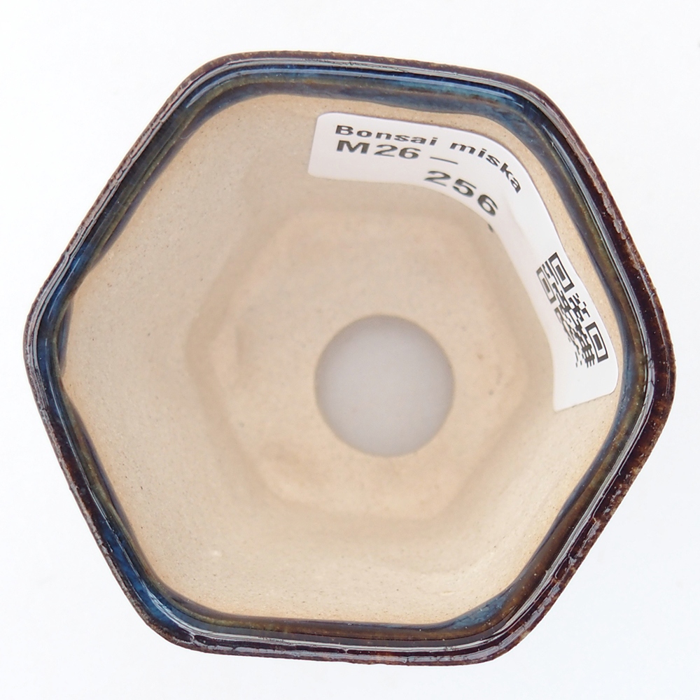 Mini bol bonsaï 5,5 x 5 x 5 cm, couleur bleu