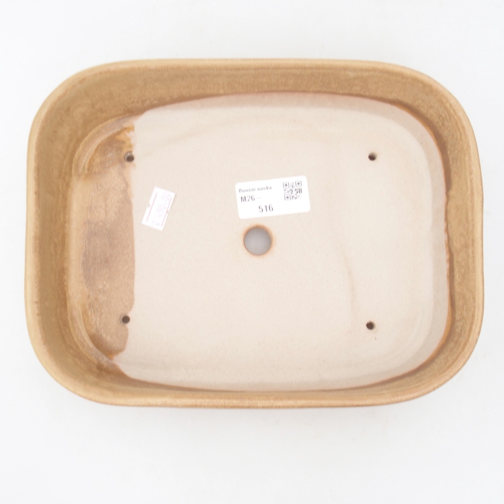 Bol à bonsaï en céramique 22,5 x 17 x 6 cm, couleur beige