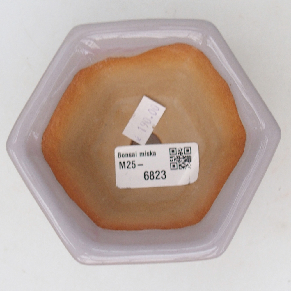 Bol à bonsaï en céramique 10,5 x 9,5 x 5,5 cm, rose