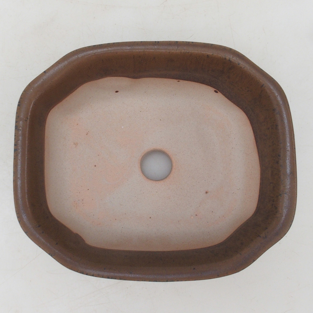 Bol à bonsaï H31 - 14 x 12 x 5,5 cm - brun