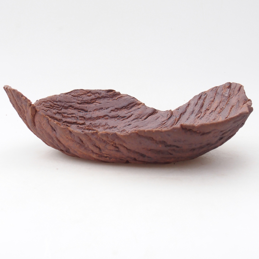 Coquille en céramique 22 x 18,5 x 6,5 cm , couleur marron