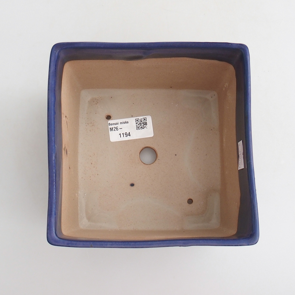 Bol à bonsaï en céramique 15 x 15 x 10,5 cm, couleur bleu