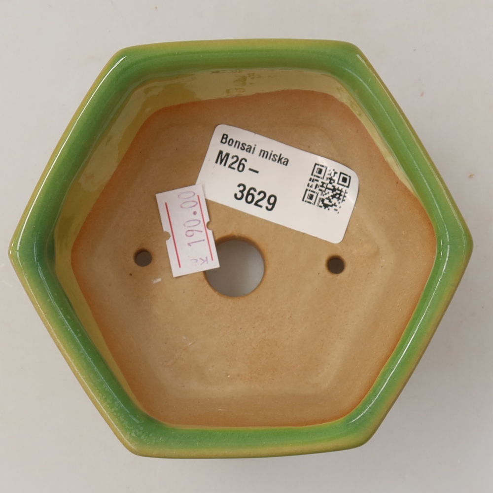 Bol à bonsaï en céramique 10 x 9 x 5 cm, vert