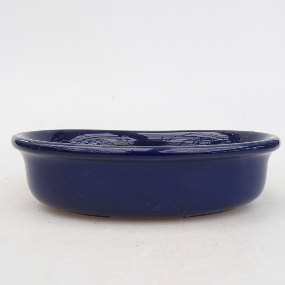 Bol à bonsaï en céramique 15 x 11 x 3,5 cm, couleur bleu