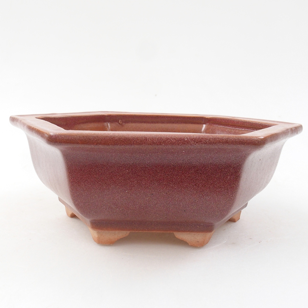 Bol à bonsaï en céramique 14 x 11 x 4 cm, bordeaux