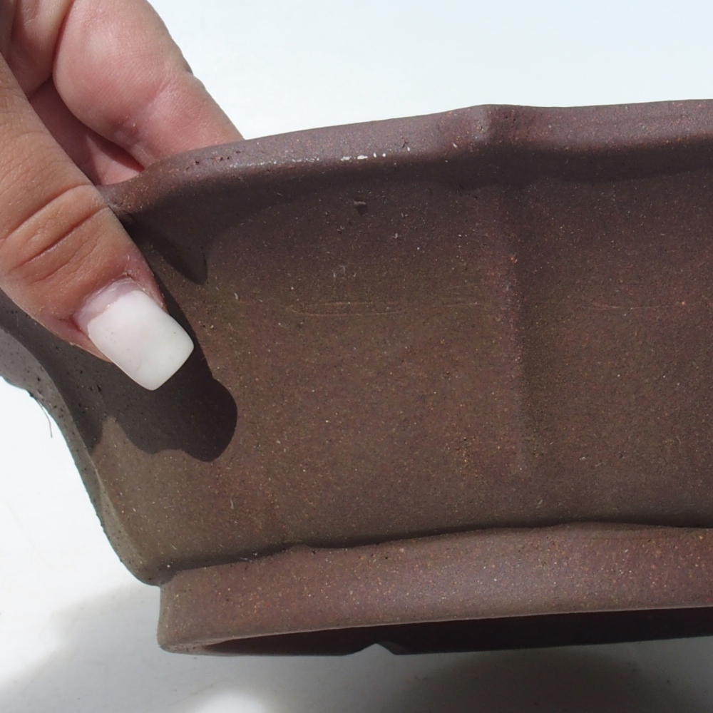 Bol pour bonsaïs 24 x 24 x 7 cm bouleau brun