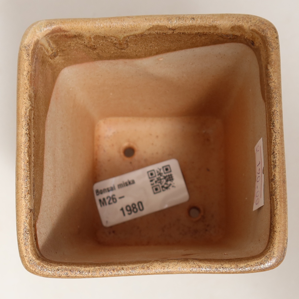 Pot à bonsaï en céramique 7,5 x 7,5 x 10,5 cm, couleur beige