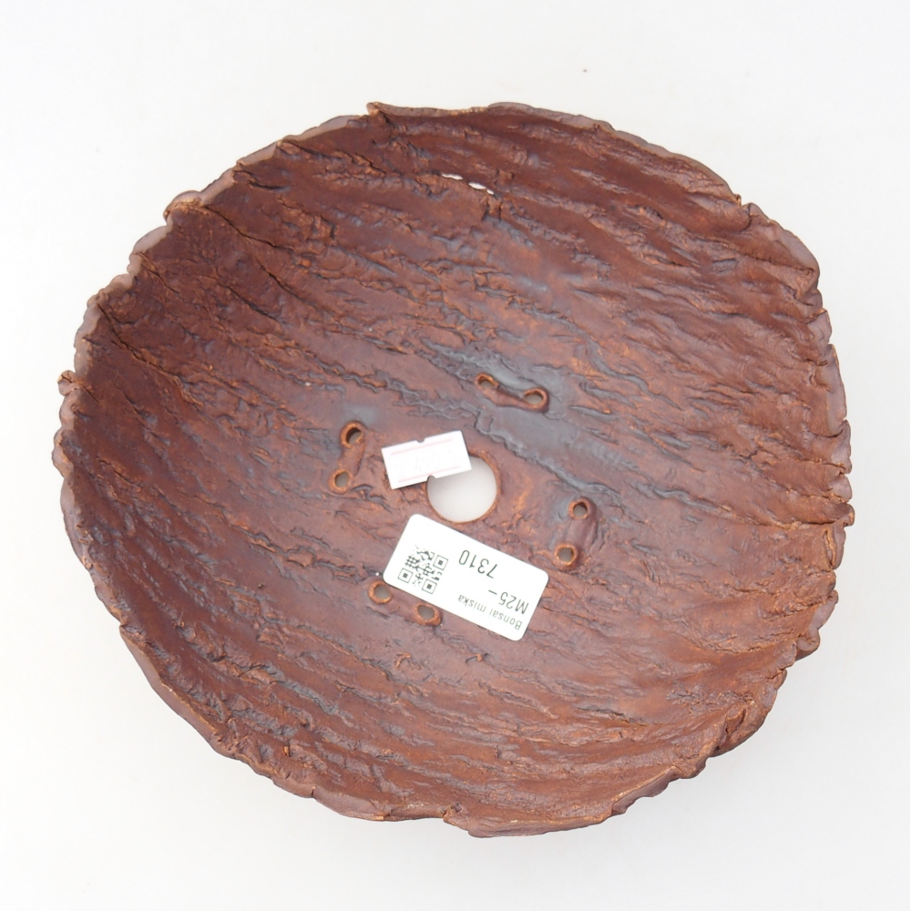 Coquille en céramique 19 x 17 x 7 cm , couleur marron