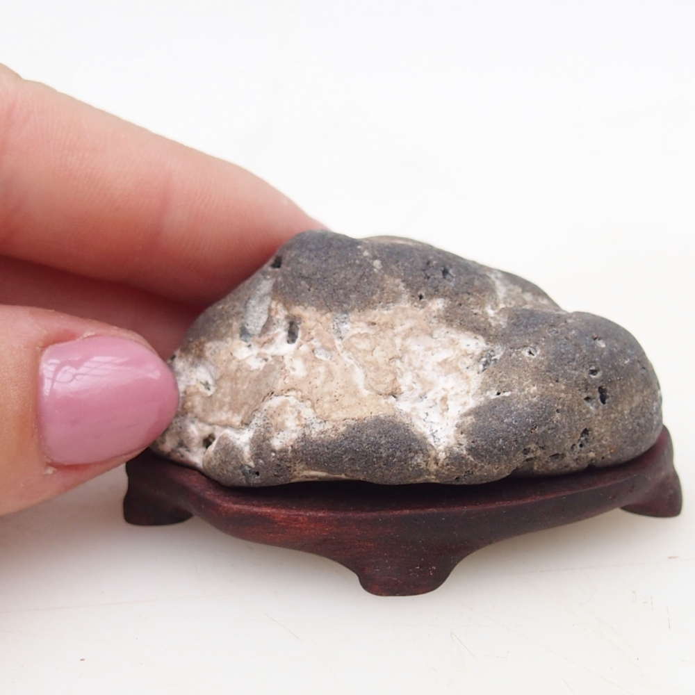 Suiseki - Pierre avec DAI (base en bois)
