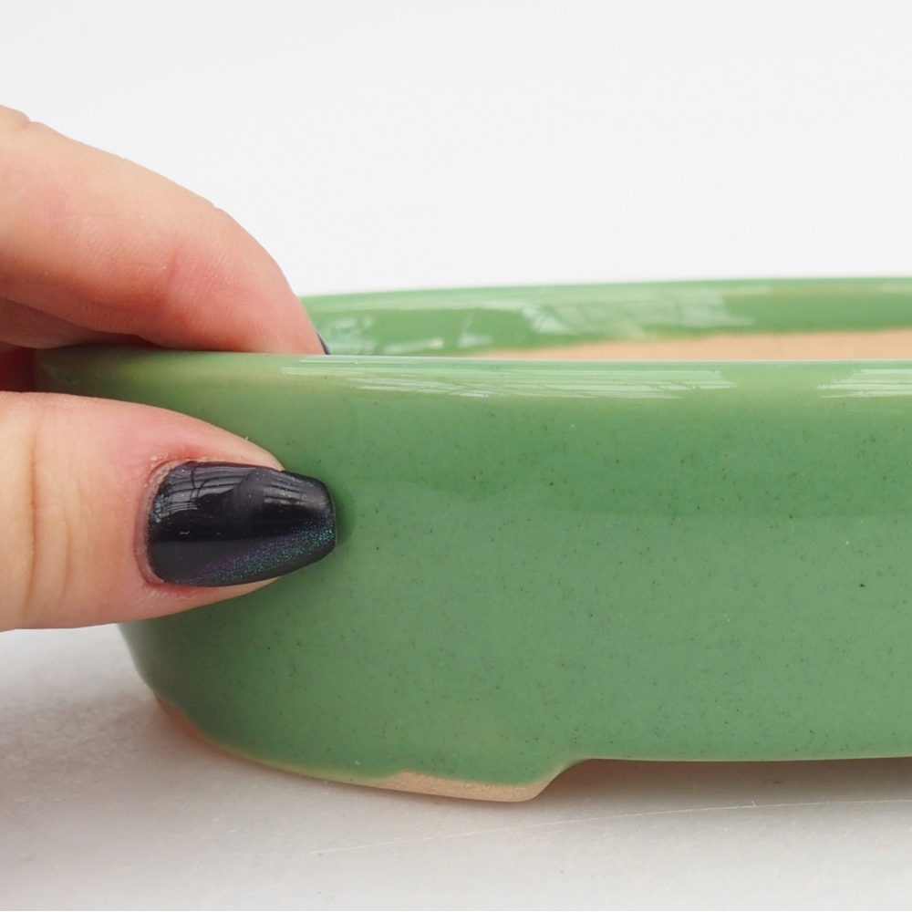 Bol à bonsaï en céramique 17 x 14 x 4 cm, vert