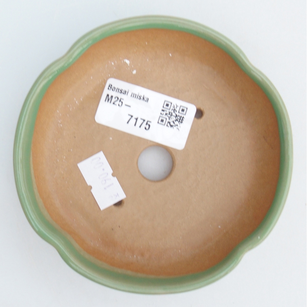 Bol à bonsaï en céramique 11 x 11 x 3 cm, vert