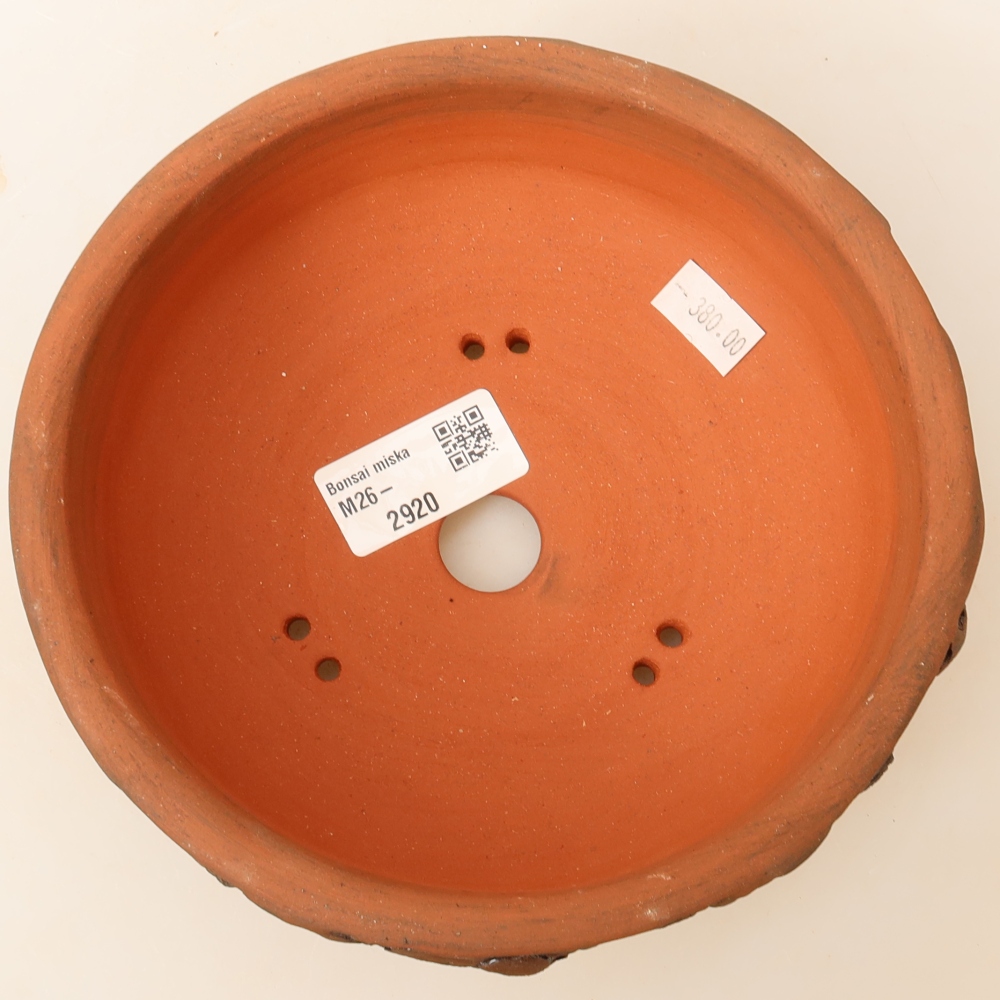 Bol à bonsaï en céramique 16,5 x 16,5 x 6 cm, brun
