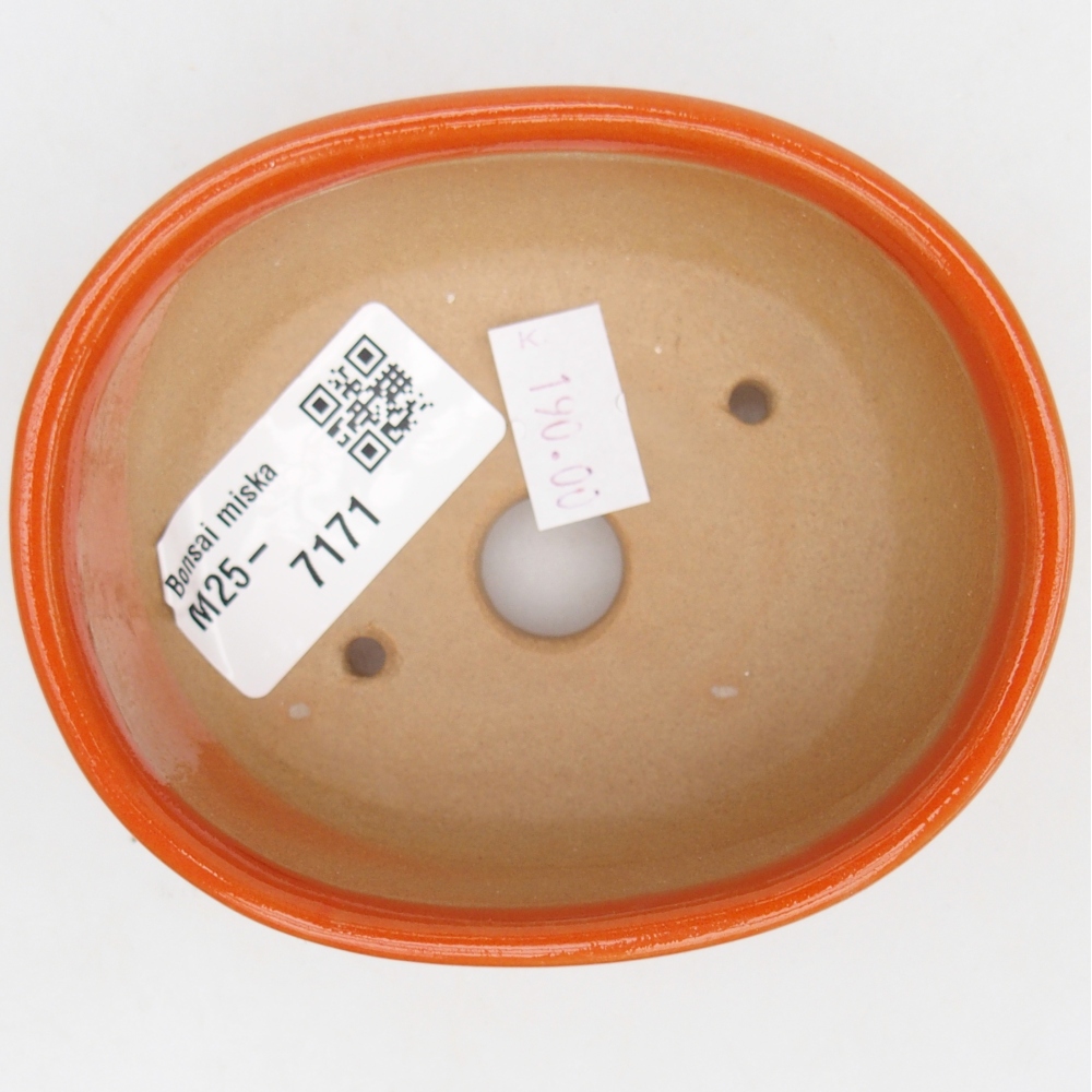 Bol à bonsaï en céramique 9,5 x 7,5 x 3,5 cm, orange