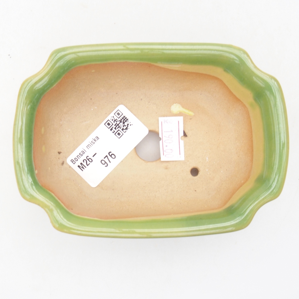 Bol à bonsaï en céramique 11,5 x 8,5 x 4 cm, vert