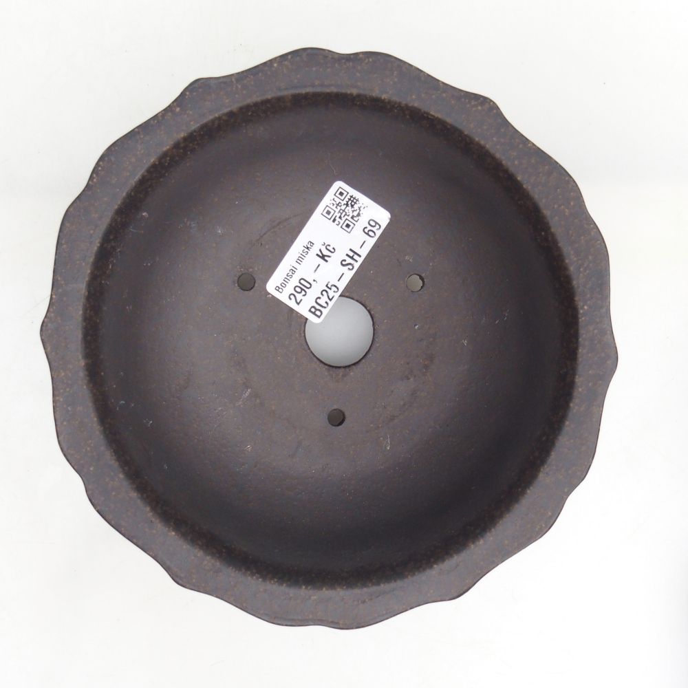 Bol à bonsaï en céramique 15 x 15 x 6,5 cm, ocre brunâtre