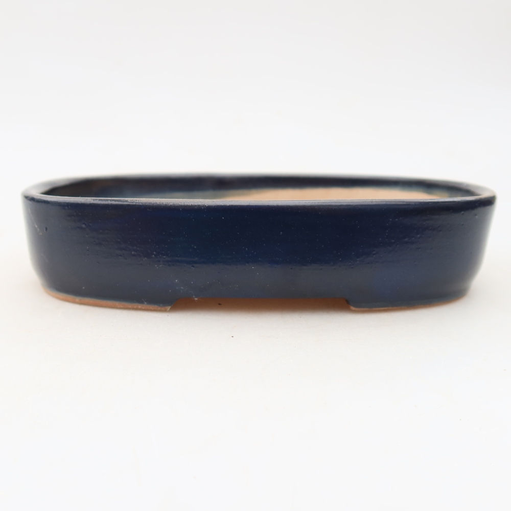Bol à bonsaï en céramique 16 x 11 x 3,5 cm, couleur bleu