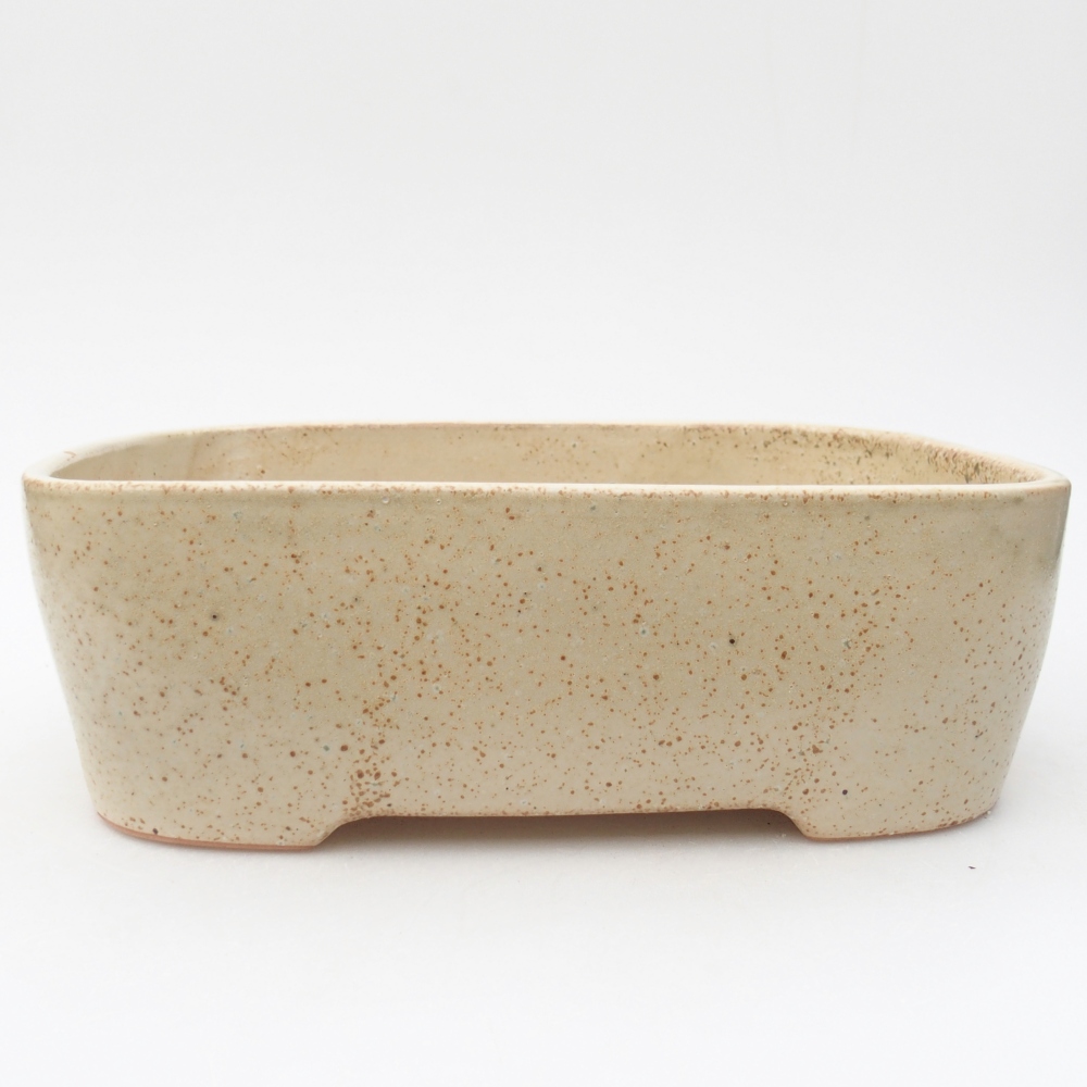 Bol à bonsaï en céramique 23 x 18 x 7,5 cm, couleur beige